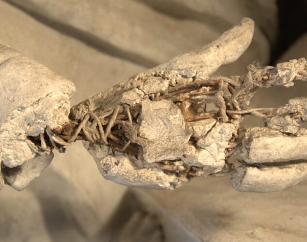 Preserve and restore stucco decorations