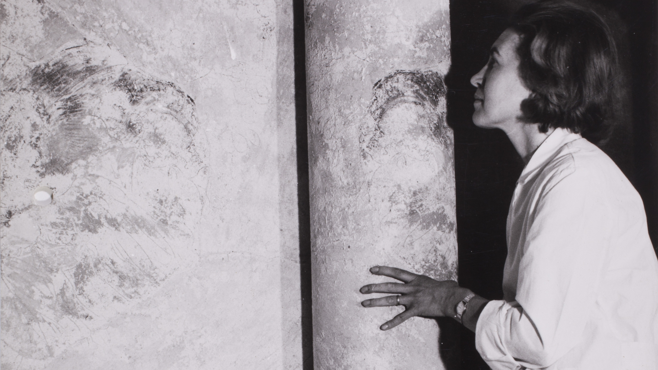 ©Archives Conservation Center Restoration La Venaria Reale, Pinin Brambilla Barcilon Fund