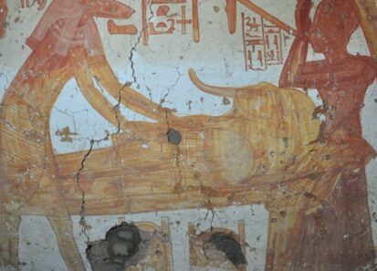 The Centre in Deir el-Medina with the team of Egyptologists and conservators of the Egyptian Museum