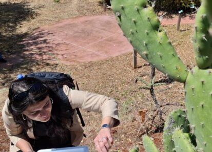 Sustainable conservation. A workshop on Opuntia ficus-indica mucilage (nopal)